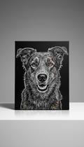 Scratch-art dog portrait on canvas